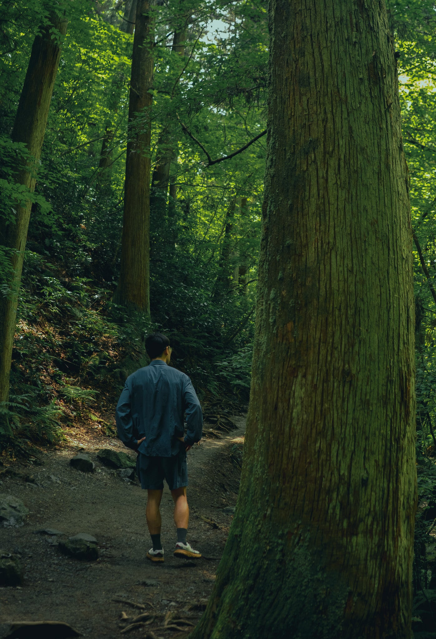 Ultra4 Shorts 短褲