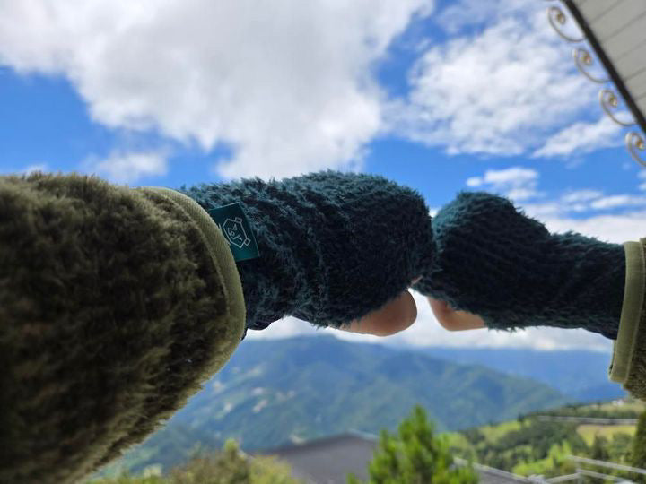 Bear Paw Gloves 熊掌套